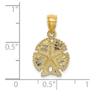 14k Yellow Gold 2-D Sand Dollar w/Star Pendant K7639