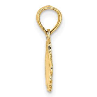 14k Yellow Gold Polished and Engraved Shell Pendant