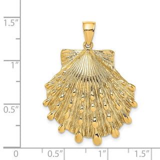 14k Yellow Gold Lions Paw Shell Pendant K7902