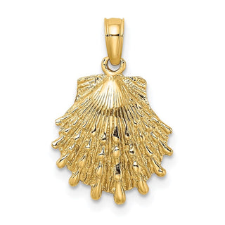 14k Yellow Gold Lions Paw Shell Pendant K8126