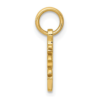 14k Yellow Gold Solid Polished Chinese Long Life Charm K826