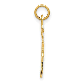 14k Yellow Gold Solid Polished Chinese Long Life Charm K829