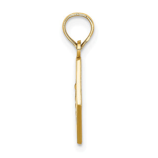 14k Yellow Gold Caduceus Textured Back Medical Pendant