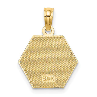 14k Yellow Gold Caduceus Textured Back Medical Pendant