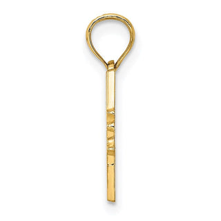 14k Yellow Gold Dr. Henry Hunt House - Cape May, Nj Pendant