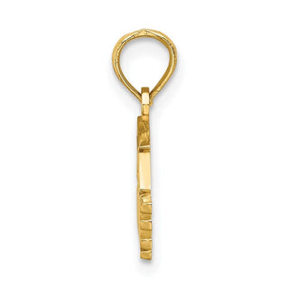 14k Yellow Gold Polished Graduate Under Cap Pendant