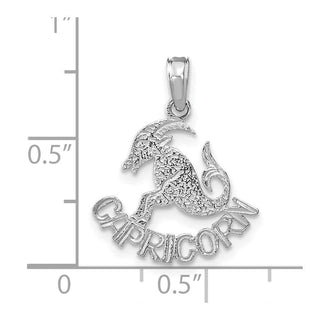14k White Gold CAPRICORN Pendant