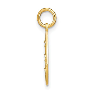 14k Yellow Gold w/Rhodium Diamond-cut Small Teardrop Pendant