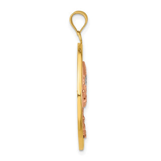 14k Yellow and Rose Gold with Rhodium Textured Dragonfly in Round Frame Pendant