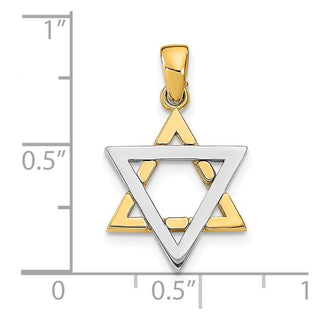 14k Two-Tone Gold 3-D Jewish Star Of David Pendant
