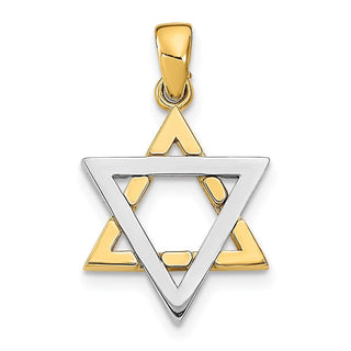 14k Two-Tone Gold 3-D Jewish Star Of David Pendant