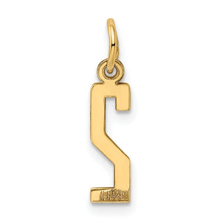 14k Yellow Gold Small Polished Elongated 2 Charm
