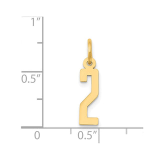 14k Yellow Gold Small Polished Elongated 2 Charm