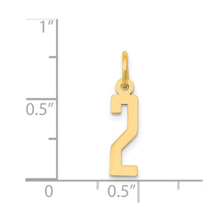 14k Yellow Gold Small Polished Elongated 2 Charm