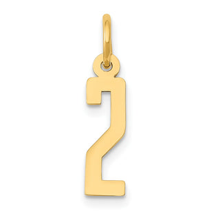 14k Yellow Gold Small Polished Elongated 2 Charm