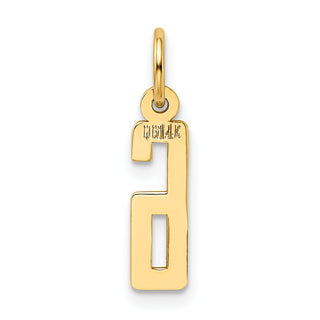 14k Yellow Gold Small Polished Elongated 6 Charm