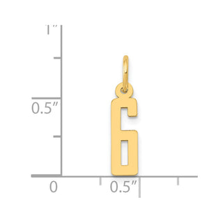 14k Yellow Gold Small Polished Elongated 6 Charm