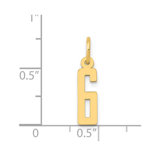 14k Yellow Gold Small Polished Elongated 6 Charm