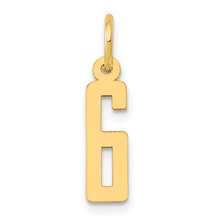 14k Yellow Gold Small Polished Elongated 6 Charm