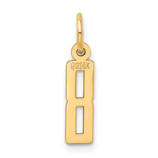 14k Yellow Gold Small Polished Elongated 8 Charm