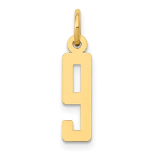 14k Yellow Gold Small Polished Elongated 9 Charm