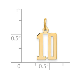 14k Yellow Gold Small Polished Elongated 10 Charm