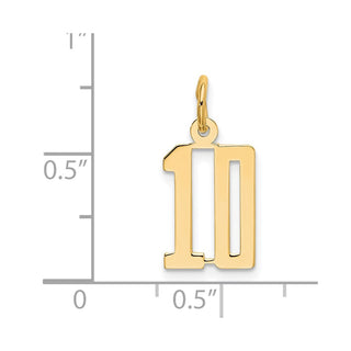 14k Yellow Gold Small Polished Elongated 10 Charm