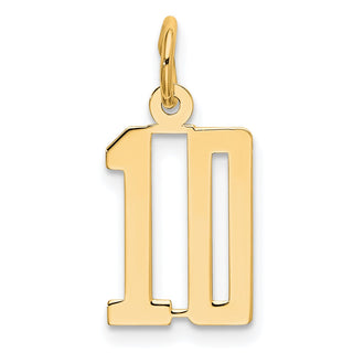 14k Yellow Gold Small Polished Elongated 10 Charm