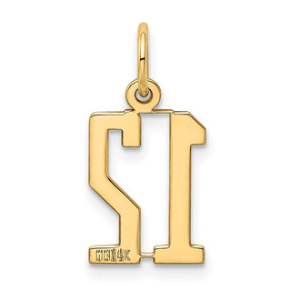 14k Yellow Gold Small Polished Elongated 12 Charm