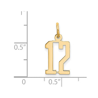 14k Yellow Gold Small Polished Elongated 12 Charm