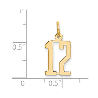 14k Yellow Gold Small Polished Elongated 12 Charm