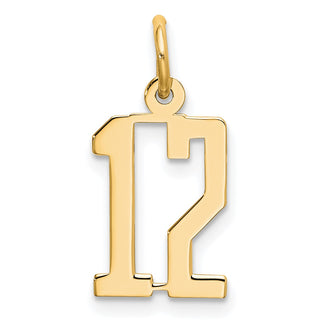 14k Yellow Gold Small Polished Elongated 12 Charm