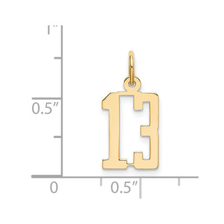 14k Yellow Gold Small Polished Elongated 13 Charm