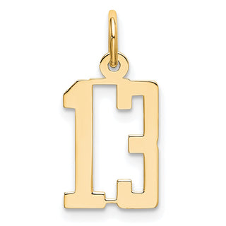 14k Yellow Gold Small Polished Elongated 13 Charm