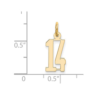 14k Yellow Gold Small Polished Elongated 14 Charm
