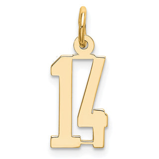 14k Yellow Gold Small Polished Elongated 14 Charm