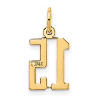 14k Yellow Gold Small Polished Elongated 15 Charm