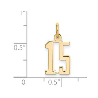 14k Yellow Gold Small Polished Elongated 15 Charm
