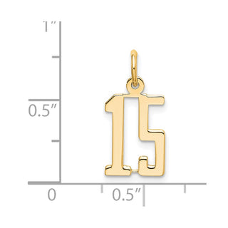 14k Yellow Gold Small Polished Elongated 15 Charm