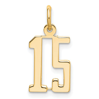 14k Yellow Gold Small Polished Elongated 15 Charm