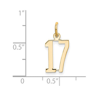 14k Yellow Gold Small Polished Elongated 17 Charm