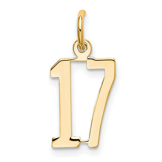 14k Yellow Gold Small Polished Elongated 17 Charm