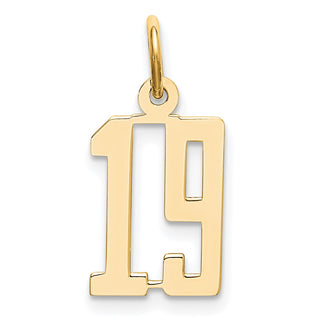 14k Yellow Gold Small Polished Elongated 19 Charm