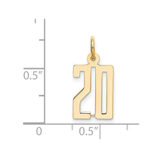 14k Yellow Gold Small Polished Elongated 20 Charm