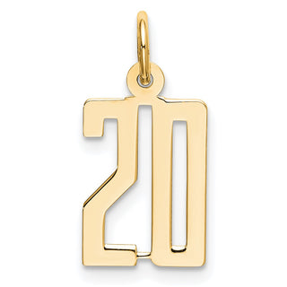 14k Yellow Gold Small Polished Elongated 20 Charm