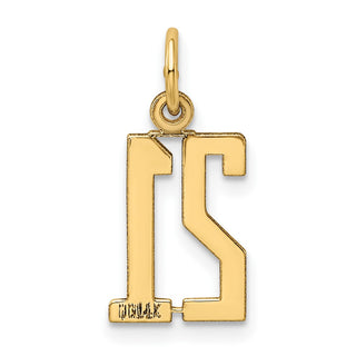 14k Yellow Gold Small Polished Elongated 21 Charm