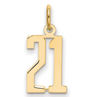 14k Yellow Gold Small Polished Elongated 21 Charm
