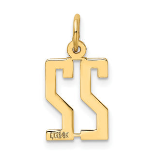 14k Yellow Gold Small Polished Elongated 22 Charm