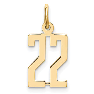 14k Yellow Gold Small Polished Elongated 22 Charm