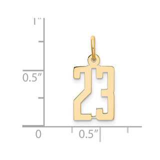 14k Yellow Gold Small Polished Elongated 23 Charm